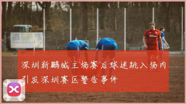 深圳新鹏城主场赛后球迷跳入场内引发深圳赛区警告事件